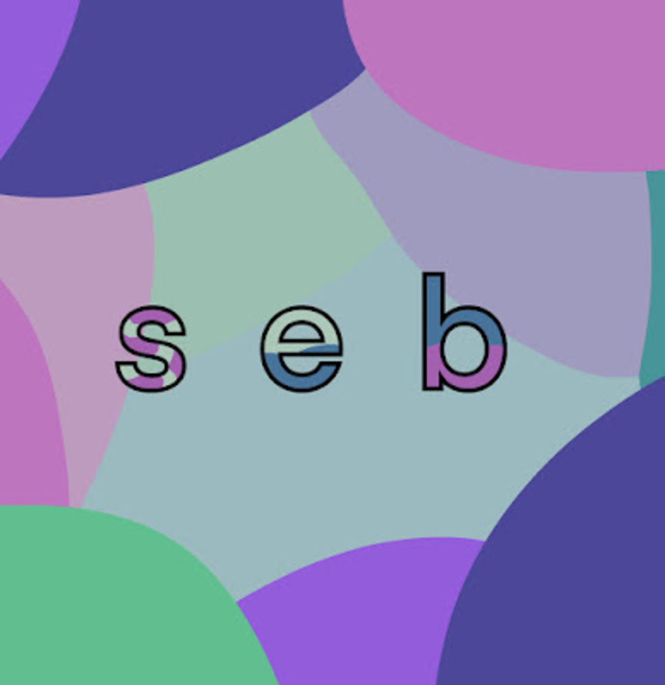 Meet your Posher, Sebastian
